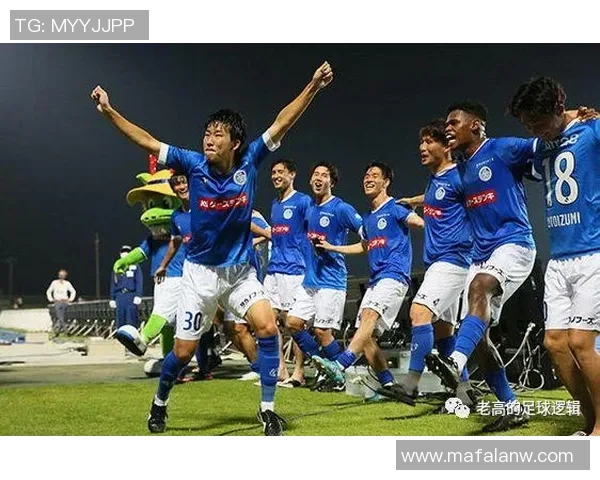 水户蜀葵迎战新泻球队全力争胜展现实力与斗志